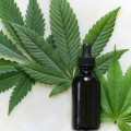 Cannabis for Pain Relief: What You Need to Know