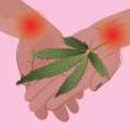 Cannabis for Managing Fibromyalgia Pain