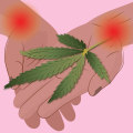 Cannabis for Pain: Understanding its Effectiveness, Risks, and Strains for Neuropathic Pain Relief